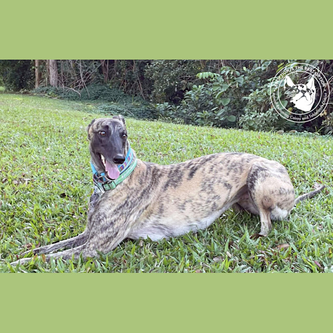 Photo of Meg (Little Meg)