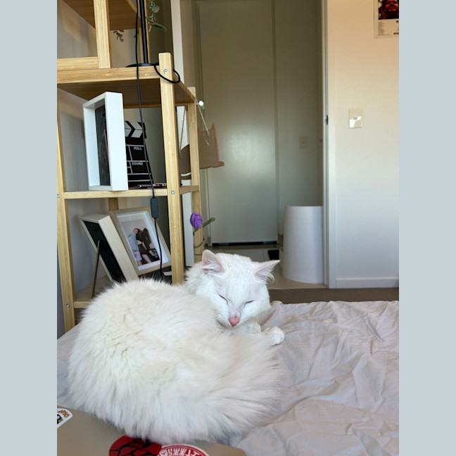 Photo of Azrael ( Azi )