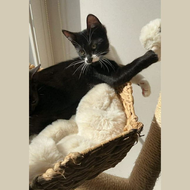 Photo of Mandy