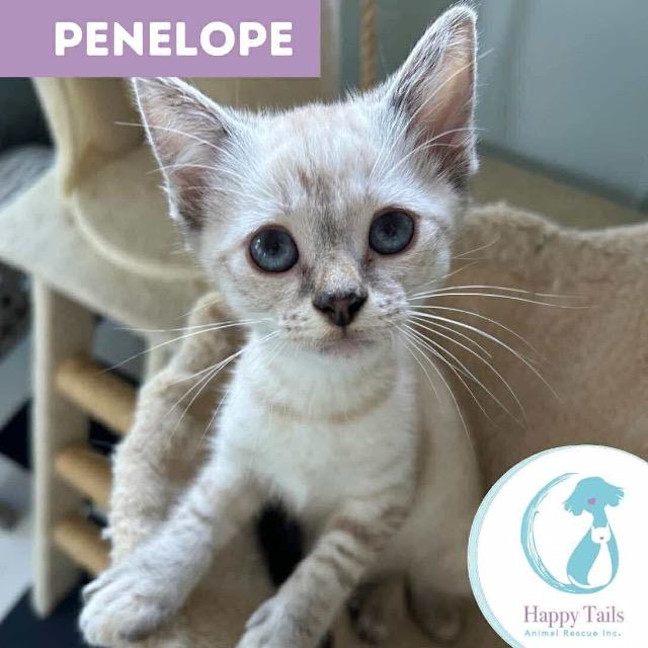 Photo of Penelope