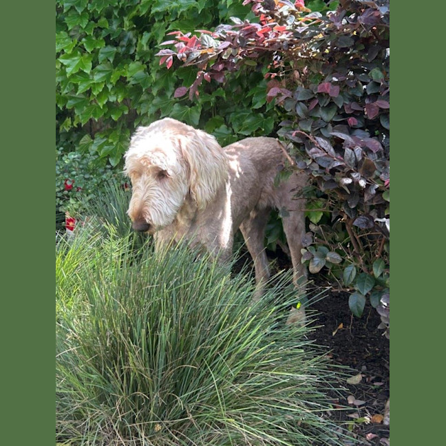 Photo of Marshall Uffelman