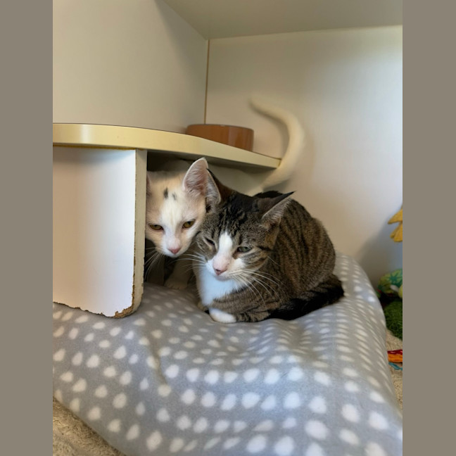 Photo of Cas And Turbo