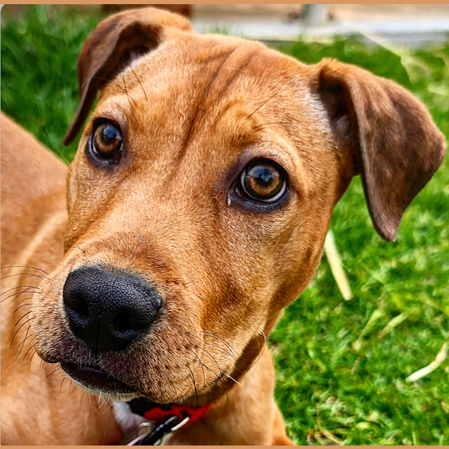 Photo of Betsy