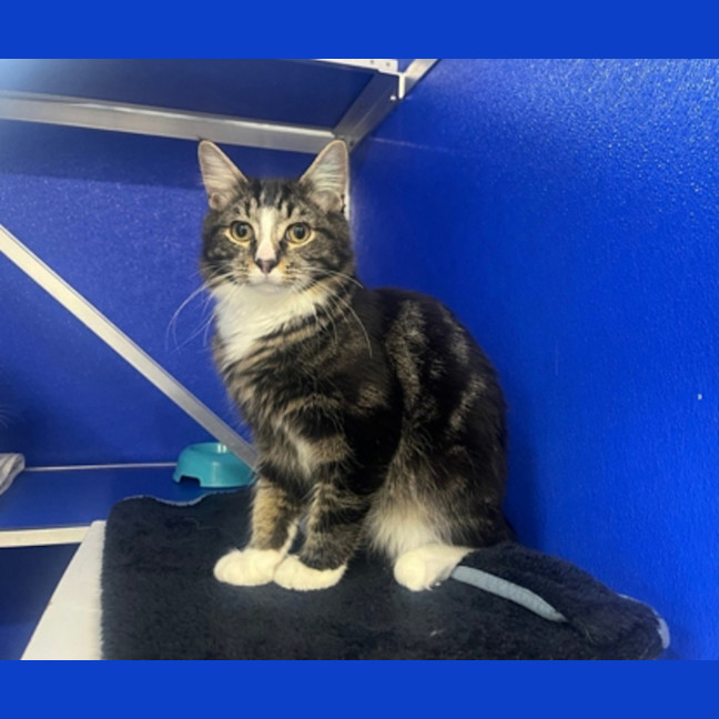 Photo of Monte Carlo