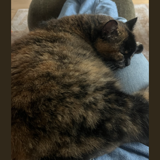 Photo of Wiggles