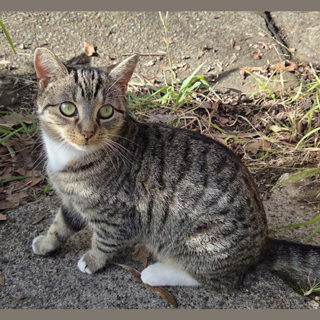 Photo of Jilly