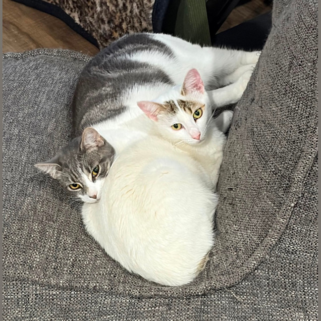 Photo of Ash And Naz