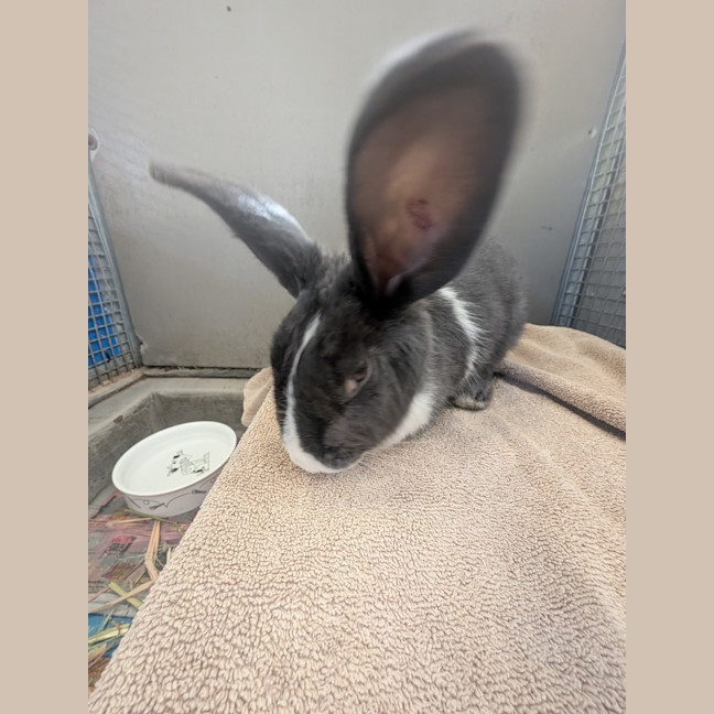 Photo of Mildred