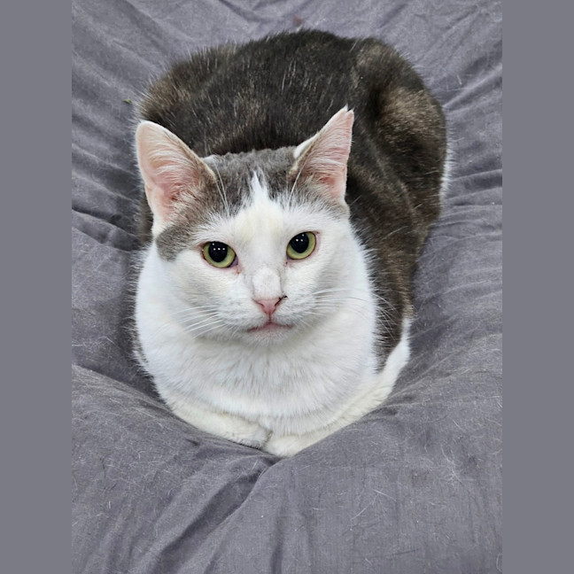 Photo of Mabel