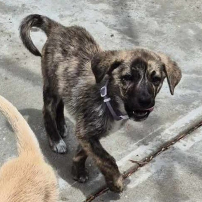 Photo of Missy Cooper