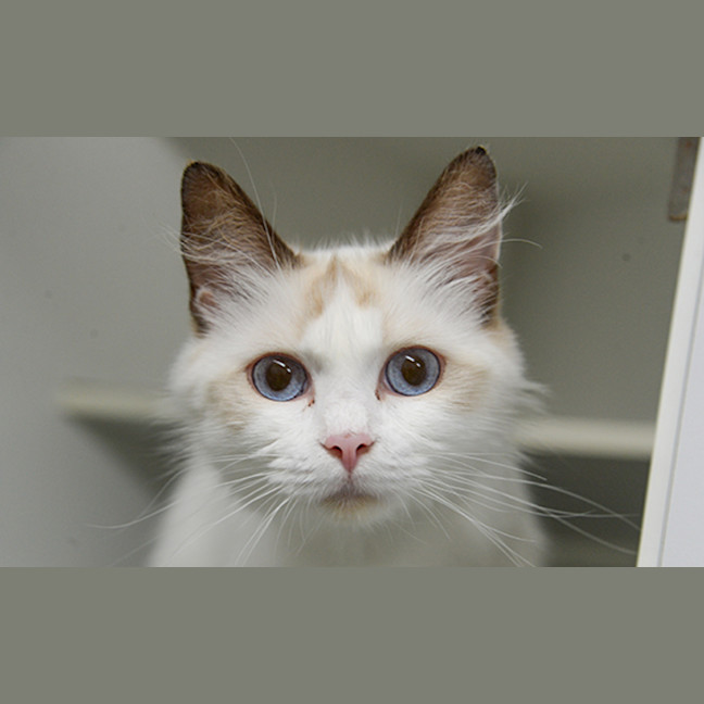 Photo of Rixi