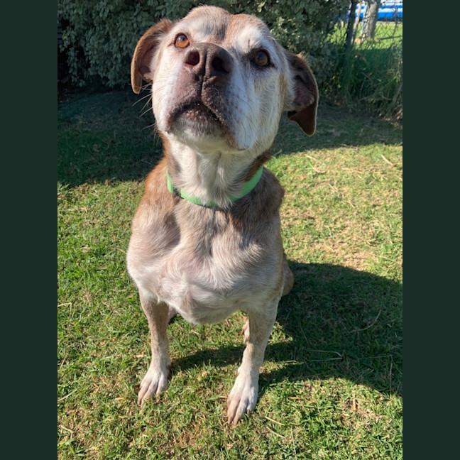 Photo of Zarleigh (66002)