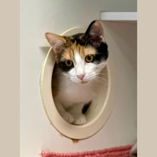 Photo of Elfie And Zorra 