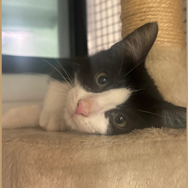 Photo of Little Bit Cutesy