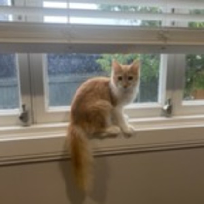Photo of Mitzi