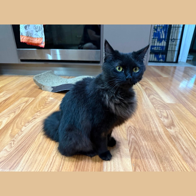 Photo of Morticia