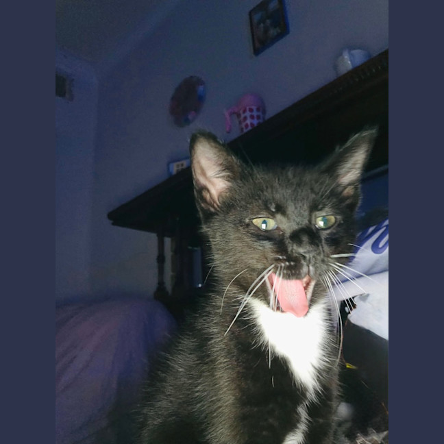 Photo of Twilight