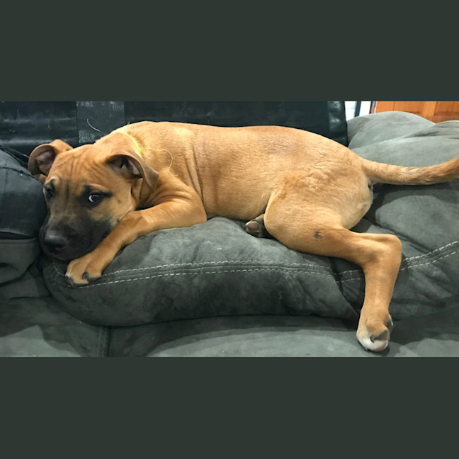 Photo of Slider