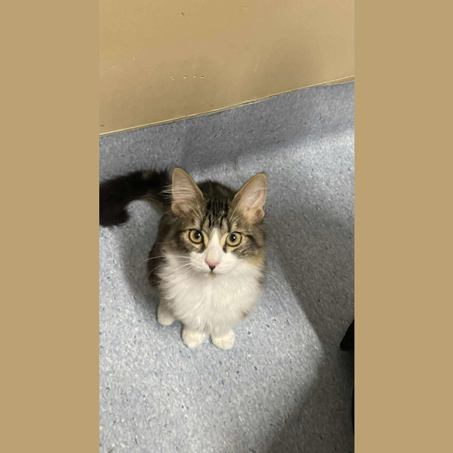 Photo of Kevin   Located In Kew