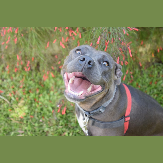 Photo of Roxy