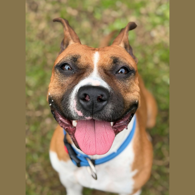 Photo of Bingo