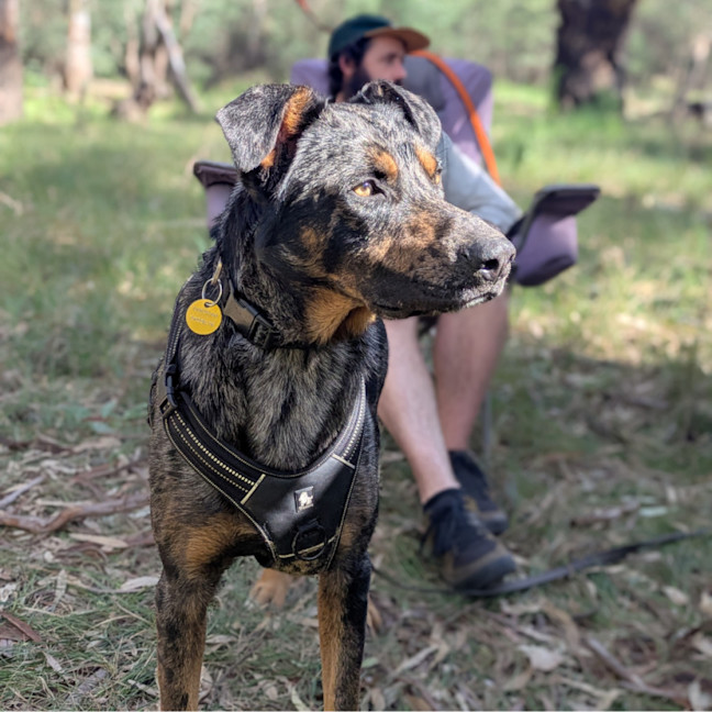 Photo of Cajun