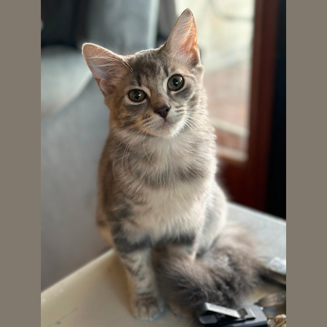 Photo of Jadzia