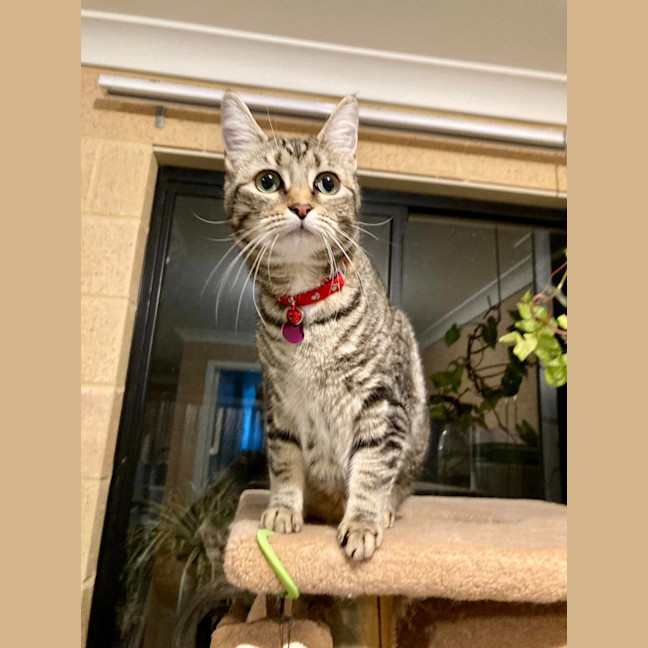 Photo of Luna
