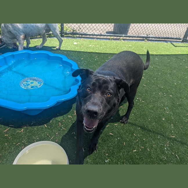 Photo of Leeloo Imp 2795