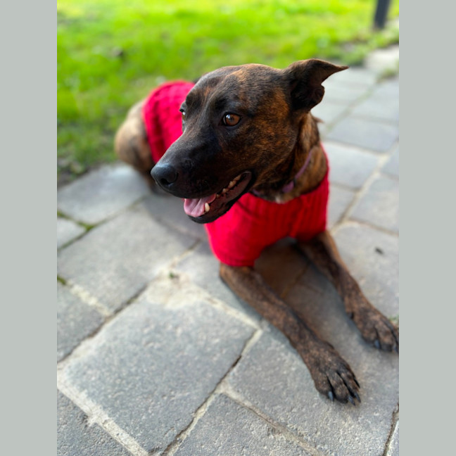 Photo of Cocobella