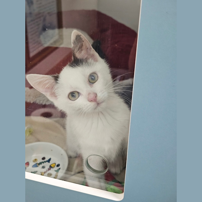 Photo of Tyson Rogers