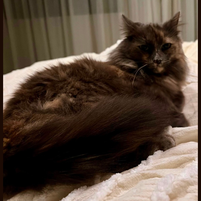Photo of Freya May 