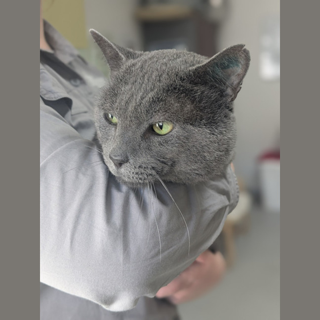 Photo of 👓 Morpheus 5836 👓