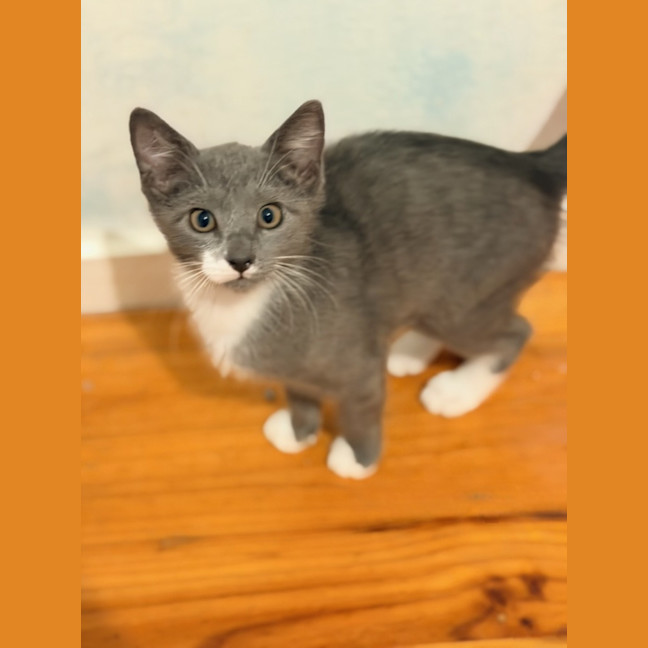 Photo of Zoe