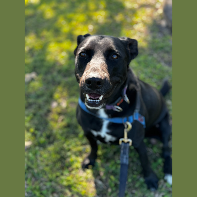 Photo of Winnie