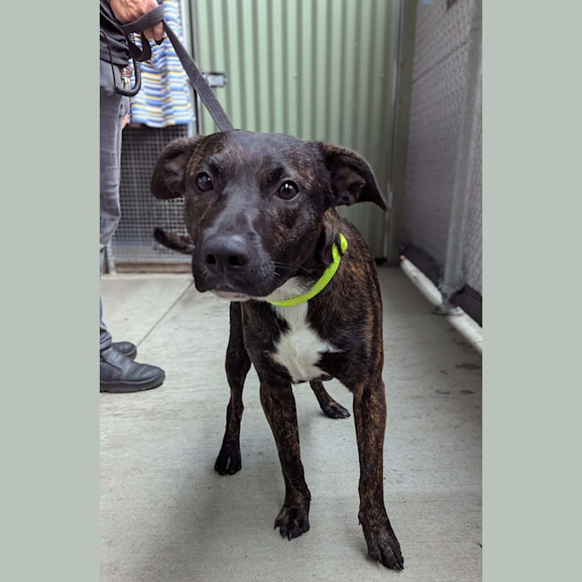 Photo of Winter & Baxter