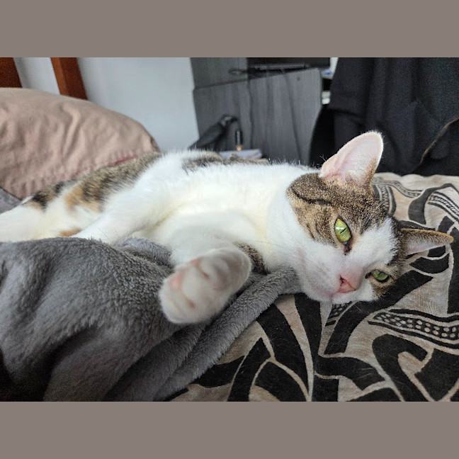 Photo of Molly / Milly