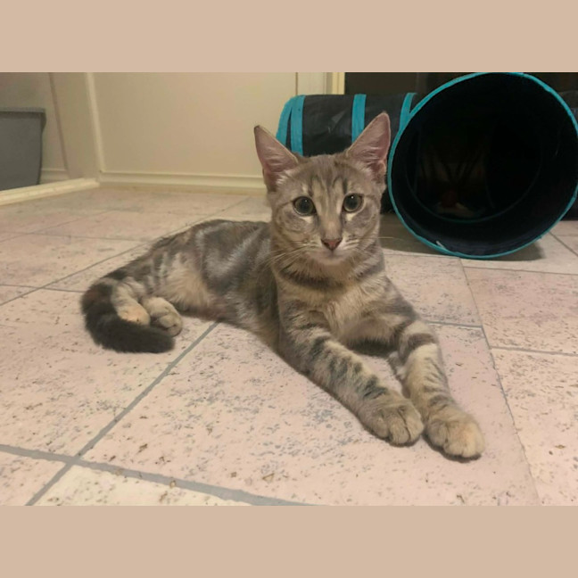 Photo of Zoe 
