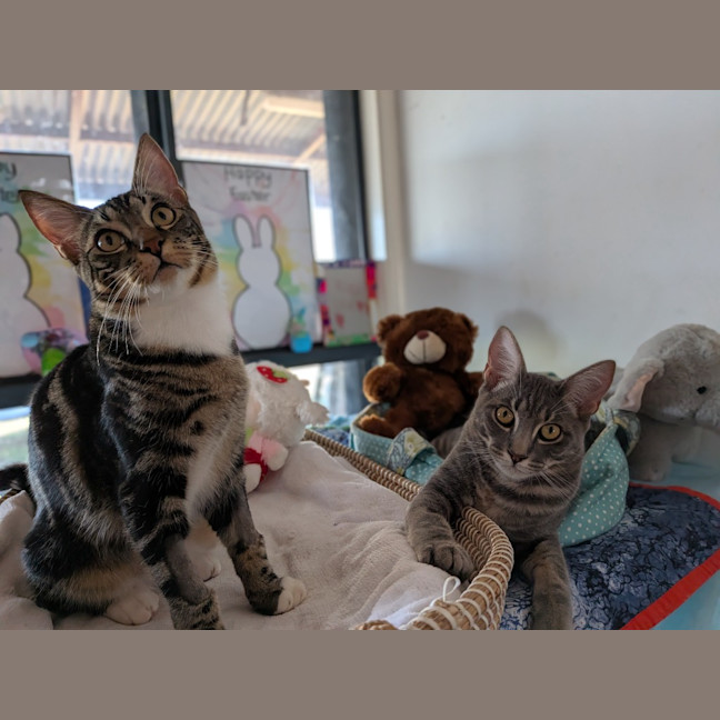 Photo of Trip