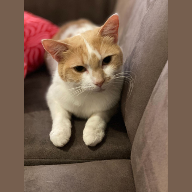 Photo of Lysandra And Aelin