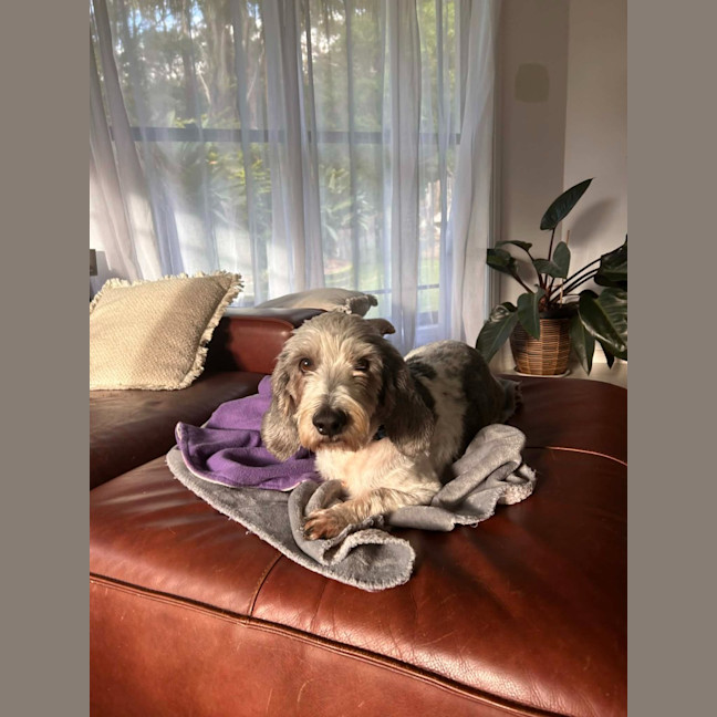 Photo of Rocky