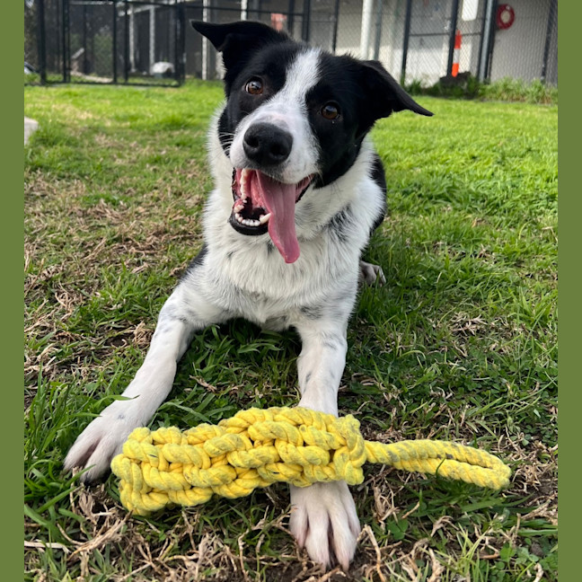 Photo of Maysie