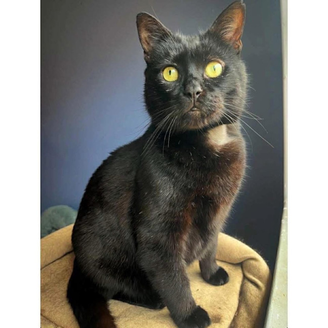 Photo of 12481   Patrick