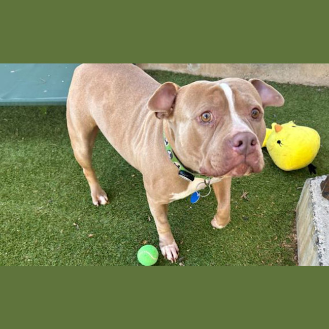 Photo of Winnie