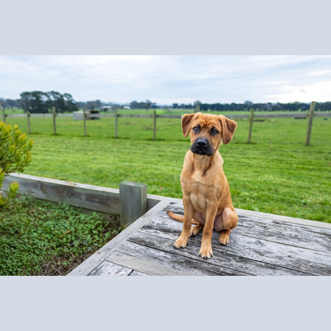 Photo of Lotti