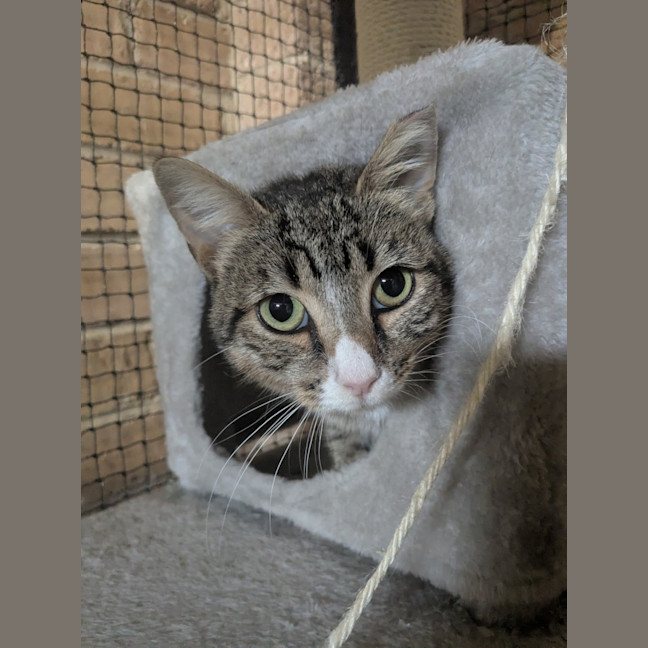 Photo of Blossom And Miette