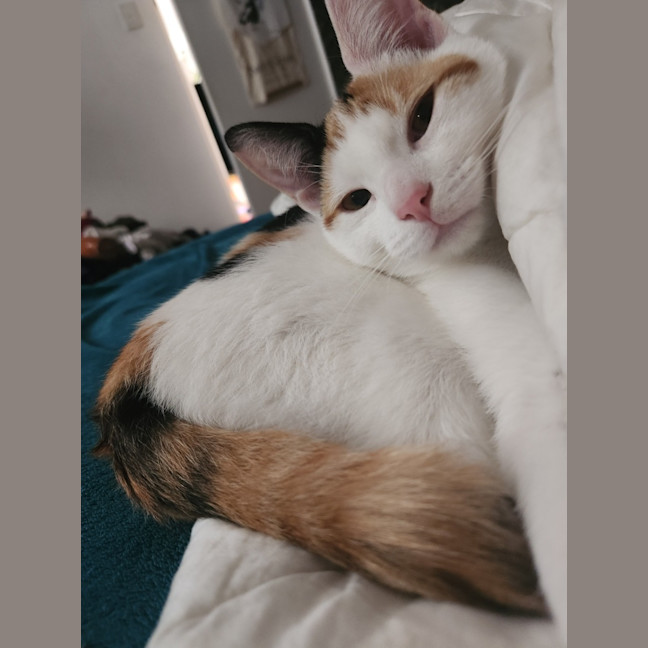 Photo of Berlioz And Aurora