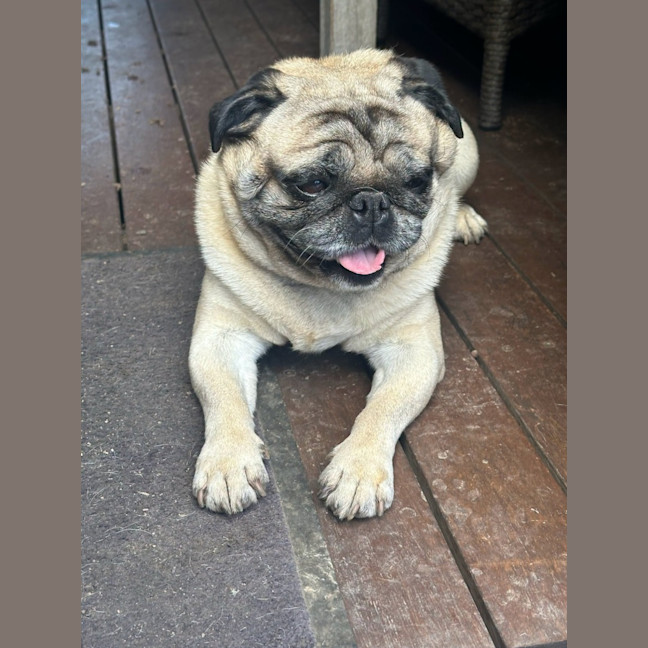 Photo of Jo Jo