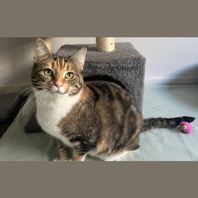 Photo of Penny