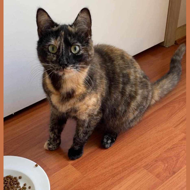 Photo of Ashlie & Lisa